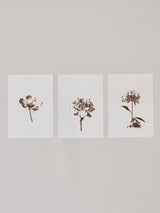 市川孝典《untitled(flower)#1,2,3》版画作品3点組 Edition 20