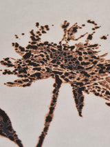 市川孝典《untitled(flower)#1,2,3》版画作品3点組 Edition 20