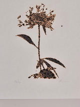 市川孝典《untitled(flower)#1,2,3》版画作品3点組 Edition 20