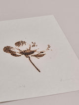 市川孝典《untitled(flower)#1,2,3》版画作品3点組 Edition 20