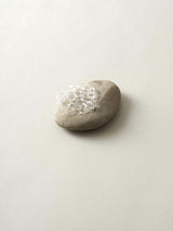深川瑞恵 石とガラスのオブジェ <stone to burgeon(芽ぶく石)> 3