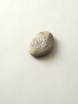 深川瑞恵 石とガラスのオブジェ <stone to burgeon(芽ぶく石)> 3