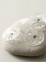 深川瑞恵 石とガラスのオブジェ <stone to burgeon(芽ぶく石)> 2