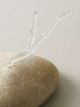 深川瑞恵 石とガラスのオブジェ <stone to burgeon(芽ぶく石)> 6