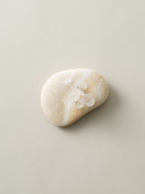 深川瑞恵 石とガラスのオブジェ <stone to burgeon(芽ぶく石)> 4