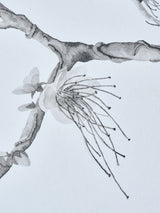 菅原ありあ 墨絵アート《Welcome Strangulation》