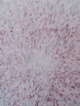 波多野裕子 小皿 3