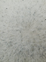 波多野裕子 豆皿 4/5