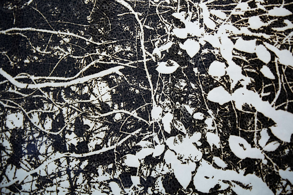 絵画 GRAVITY Gravity Art Print by M.C. Escher | King & McGaw
