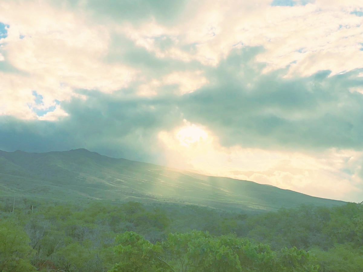 山崎美弥子の惑星日記｜YAMAZAKI MIYAKO Planet Journal – Numero CLOSET