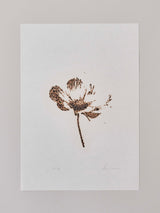 市川孝典《untitled(flower)#1,2,3》版画作品3点組  Edition 20