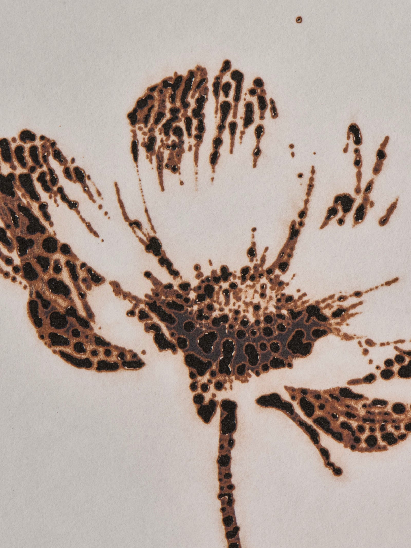 市川孝典《untitled(flower)#1,2,3》版画作品3点組 Edition 20