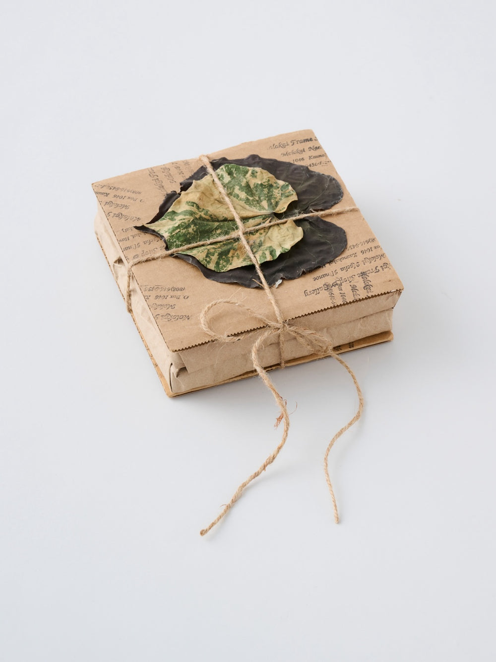 山崎美弥子のアート作品 Hele i ke ao pule ／Noa｜Numero TOKYO