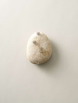 深川瑞恵  石とガラスのオブジェ ＜stone to burgeon（芽ぶく石）＞ 9