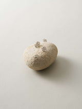 深川瑞恵  石とガラスのオブジェ ＜stone to burgeon（芽ぶく石）＞ 9